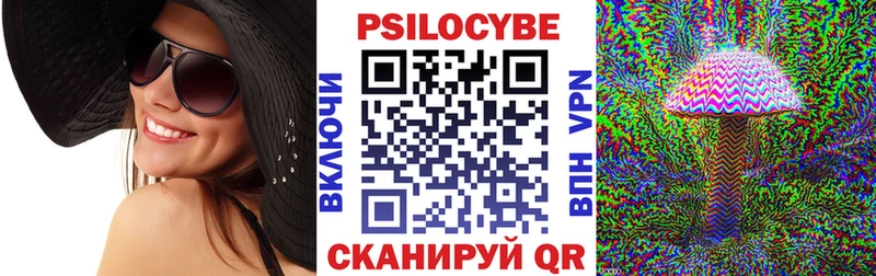 Псилоцибиновые грибы Cubensis  Кызыл 